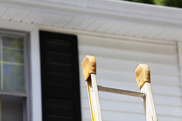 Best Siding for Commercial Buildings  in Rolesville, NC